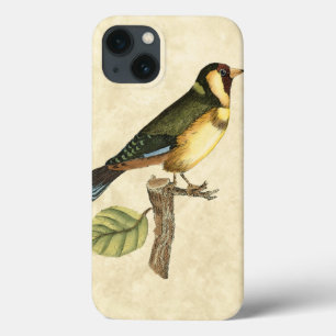 小さな枝に止まった黄色と緑の鳥 iPhone 13ケース