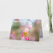 小さな枝の先に咲く桜。時の螺旋 カード (正面)