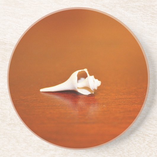 小さな殻 コースター (正面)