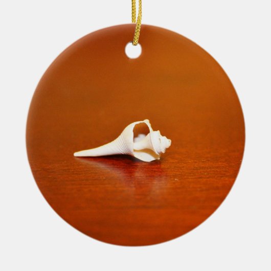 小さな殻 セラミックオーナメント (正面)