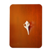 小さな殻 マグネット (縦)