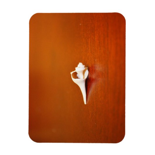 小さな殻 マグネット (縦)