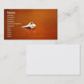 小さな殻 名刺 (正面/裏面)