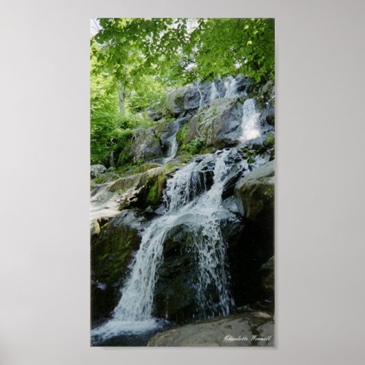 小さな水路 ポスター (正面)