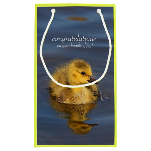 小さな泳ぐ人:カナダグースゴスリング スモールペーパーバッグ (裏面)