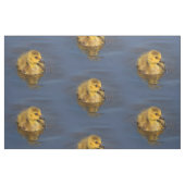 小さな泳ぐ人：カナダグースゴスリング ファブリック (ファットクウォーター)