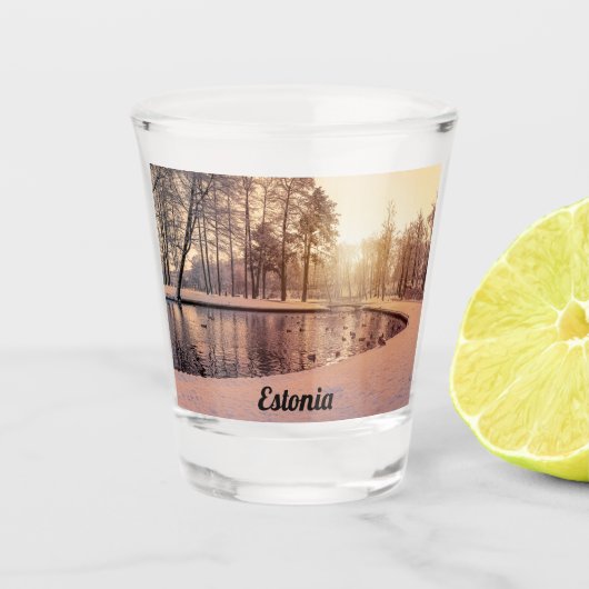 小さな湖のある公園の夕日霜の降りた ショットグラス (正面)