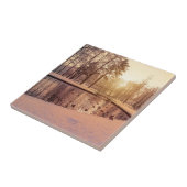 小さな湖のある公園の夕日霜の降りた タイル (側面)