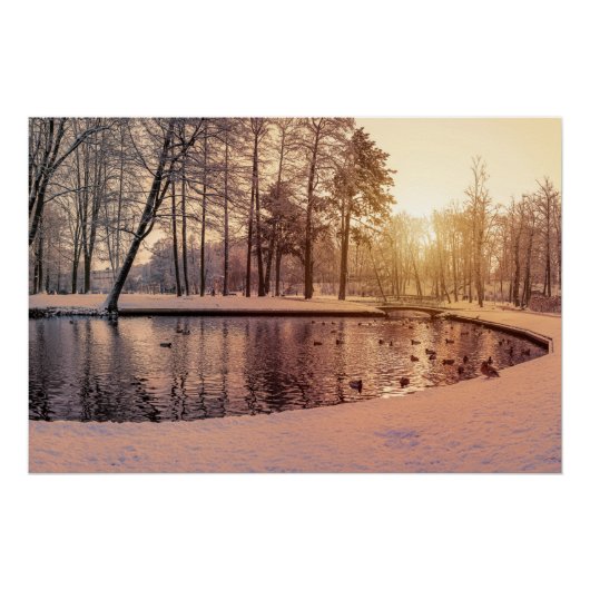 小さな湖のある公園の夕日霜の降りた ポスター (正面)