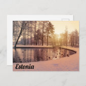 小さな湖のある公園の夕日霜の降りた ポストカード (正面/裏面)