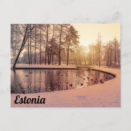 小さな湖のある公園の夕日霜の降りた ポストカード (正面)