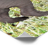 小さな灰色のスフィンクスの子猫がゾウを見る ポスター (角)