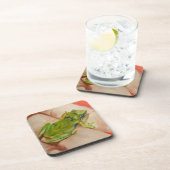 小さな熱帯性カエル コースター (右側)