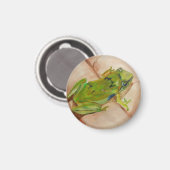 小さな熱帯性カエル マグネット (正面/裏面)