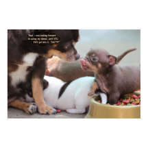 小さな犬の家族が夕食に