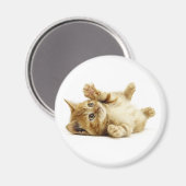 小さな猫 マグネット (正面/裏面)