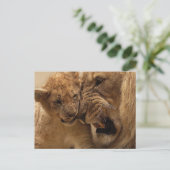 小さな獅子 ポストカード (スタンド正面)