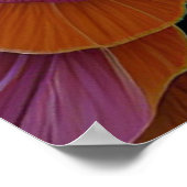 小さな王冠を持つ蝶の王女 ポスター (角)