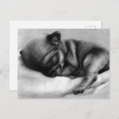 小さな生活 – ハンド絵を描チワワ生まれたばかりのア ポストカード (正面/裏面)