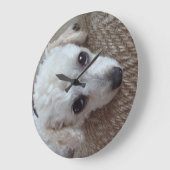 小さな白いティーカッププードル犬 ラージ壁時計 (傾斜)