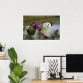 小さな白いバットフライのスピアティスル ポスター (ホームオフィス)