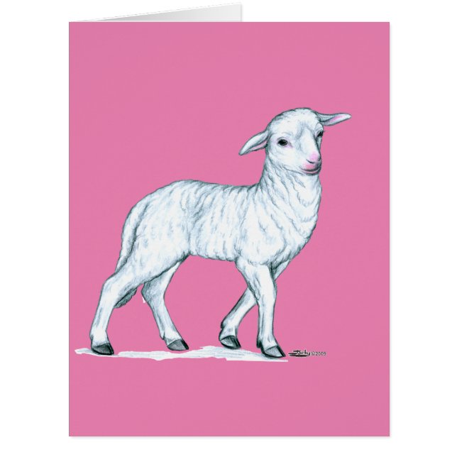 小さな白い子羊 (正面)