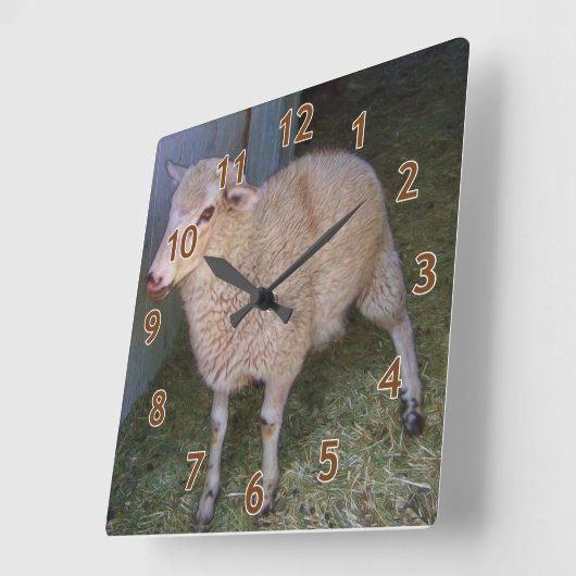 小さな白い子羊 スクエア壁時計 (傾斜)