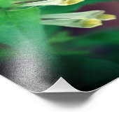 小さな白い森のワイルドフラワー閉じる8x10 フォトプリント            (角)