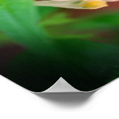 小さな白い森の山花がクローズアップ ポスター (角)