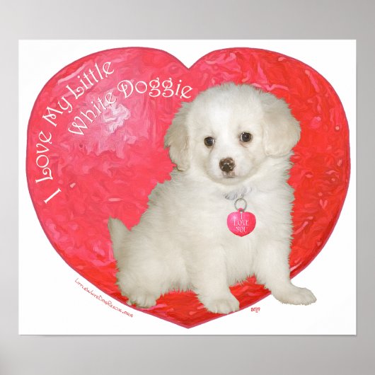小さな白い犬の救出バレンタイン ポスター (正面)