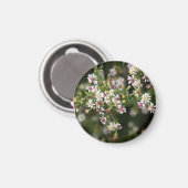 小さな白い花 マグネット (正面/裏面)