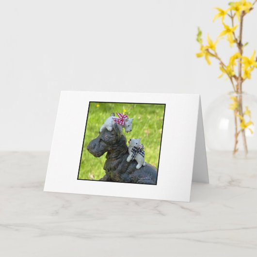 小さな白い西 カード (黄色い花)