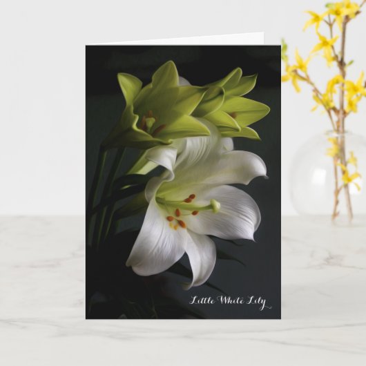 小さな白百合の詩 カード (黄色い花)