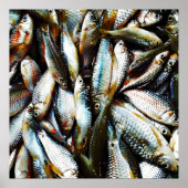 小さな白身魚 ポスター (正面)