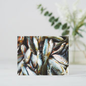 小さな白身魚 ポストカード (スタンド正面)