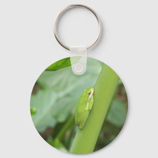 小さな眠そうなアマガエル キーホルダー (正面)