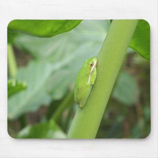 小さな眠そうなアマガエル マウスパッド (正面)