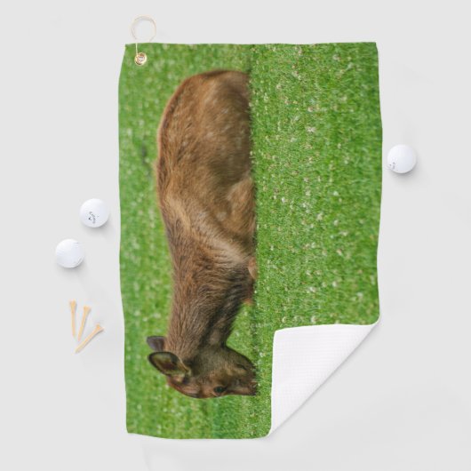 小さな眠り ゴルフタオル (インサイチュ)