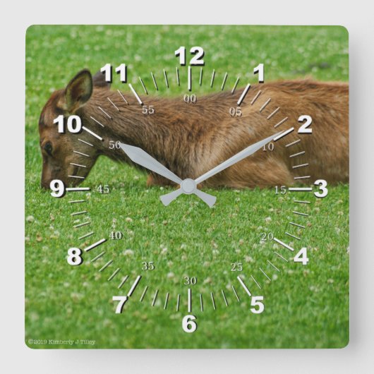 小さな眠り スクエア壁時計 (正面)