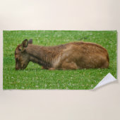 小さな眠り ビーチタオル (正面)