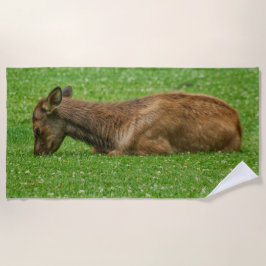 小さな眠り ビーチタオル