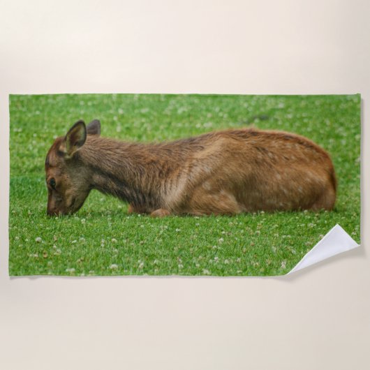 小さな眠り ビーチタオル (正面)