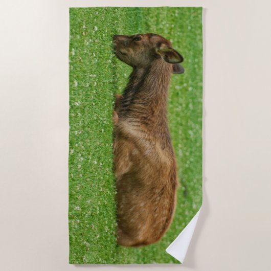 小さな眠り ビーチタオル (正面)