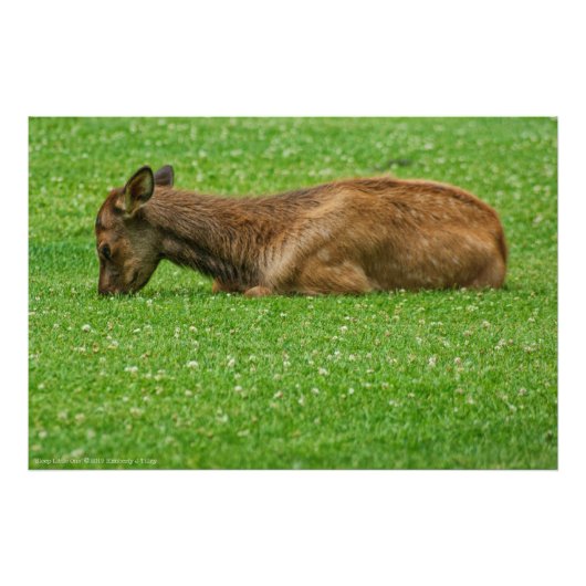 小さな眠り フォトプリント            (正面)