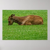 小さな眠り ポスター (正面)