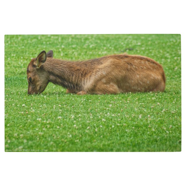 小さな眠り メタルプリント (正面)