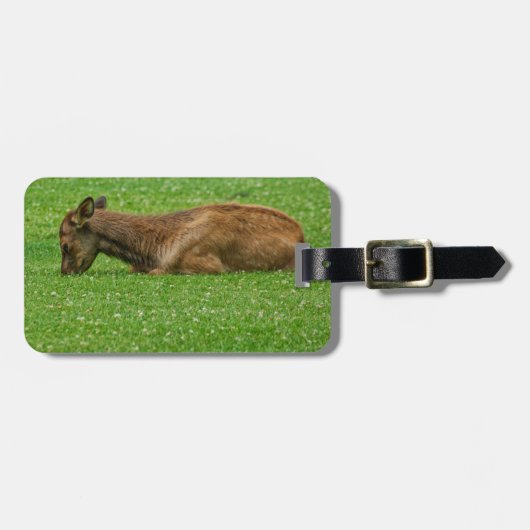 小さな眠り ラゲッジタグ (正面横)