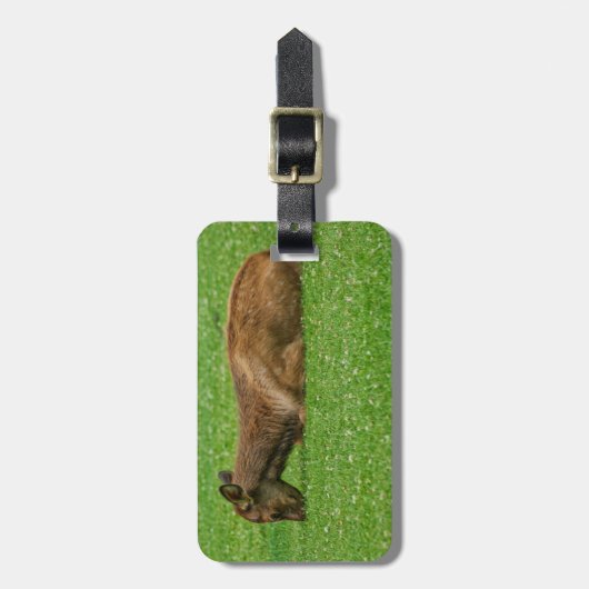 小さな眠り ラゲッジタグ (正面縦)