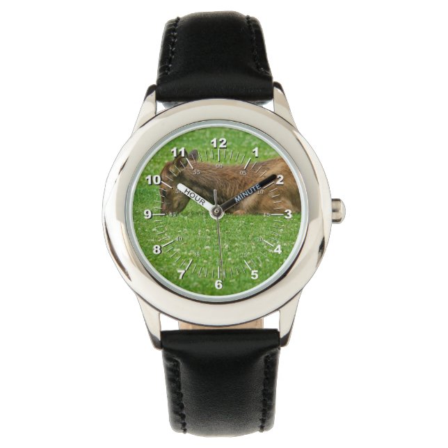 小さな眠り 腕時計 (正面)