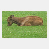 小さな眠り 長方形シール (正面)
